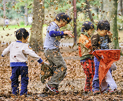 children-playing-leaves