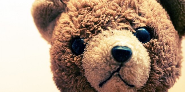 teddy bear